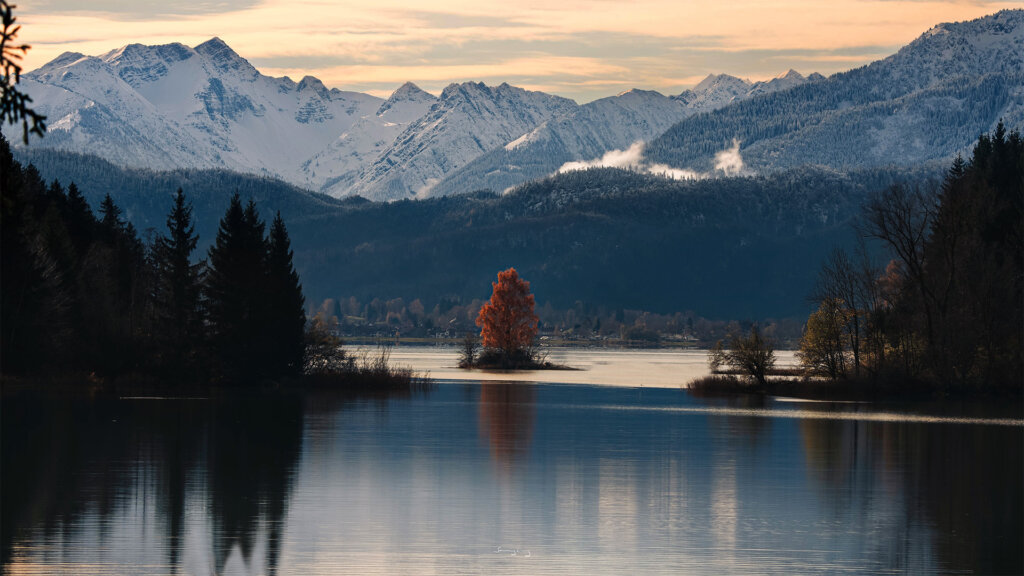 Baum_see_Berg_panorama